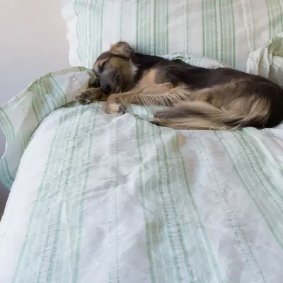 Beds - striped duvet cover - white with pistachio green - OTTOMANIA