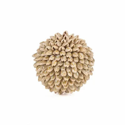 Decorative objects - The Oluolu Shell Ball - S - BAZAR BIZAR LIVING