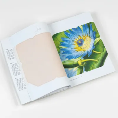 Carterie - Livres de Papier Créatif - THE PEPIN PRESS