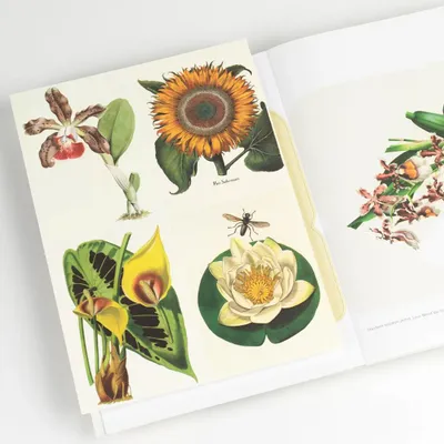 Carterie - Livres de Papier Créatif - THE PEPIN PRESS