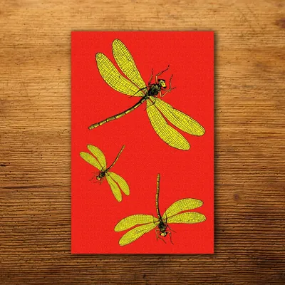 Dish towels - Dragonfly Tea Towel - ZOOH