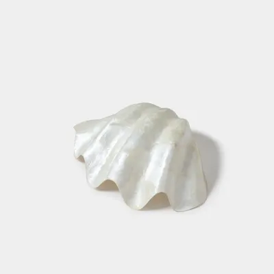 Objets de décoration - Vide poches coquillage - DESIGN TRIP