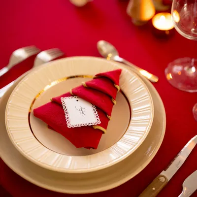 Napkins - Recycled Napkin Grace Rubis 40 X 40 - MAISON VIVARAISE - SDE VIVARAISE WINKLER