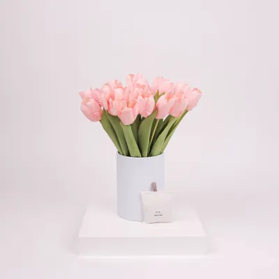 Home fragrances - Blue Jay Edition - NODITO