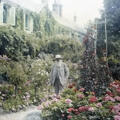 Candles - Bougie - Monet - MAISON GIVERNY