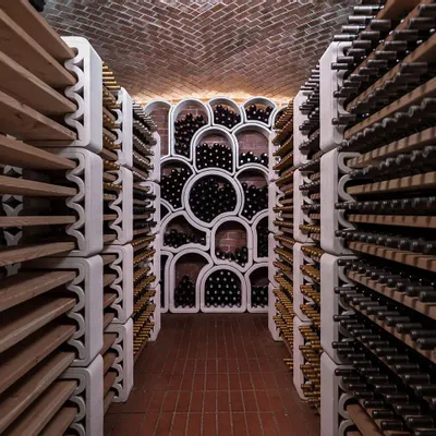 Shelves - Wine Rack - VOXELL - AZU DESIGN S.R.O.