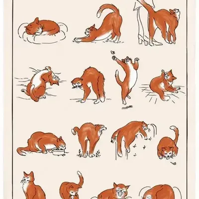 Torchons - Torchon Imprime Journée de Chat Ecru 48 X 72 - MAISON VIVARAISE - SDE VIVARAISE WINKLER