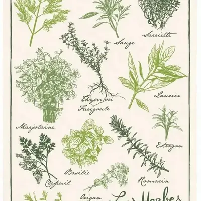 Dish towels - Printed tea towel Les herbes de Provence Écru 48 X 72 - MAISON VIVARAISE - SDE VIVARAISE WINKLER