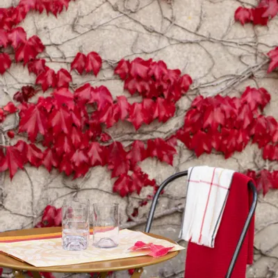 Chairs - Recycled Chair Cushion 36 Points Zea Tournesol 38 X 38 X 3 - MAISON VIVARAISE - SDE VIVARAISE WINKLER