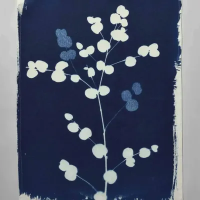 Dish towels - Eucalyptus Tea Towel Bleu 70 X 50 - LA CERISE SUR LE GATEAU