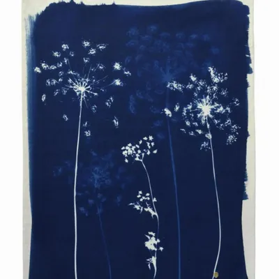 Dish towels - Tea Towel Fleurs de carotte Bleu 70 X 50 - LA CERISE SUR LE GATEAU