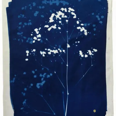Torchons - Torchon Gypso Bleu 70 x 50 - LA CERISE SUR LE GATEAU