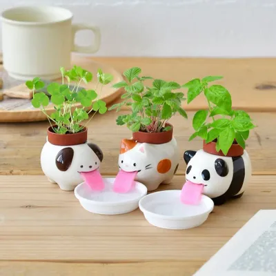 Objets déco enfant - Peropon® - NOTED