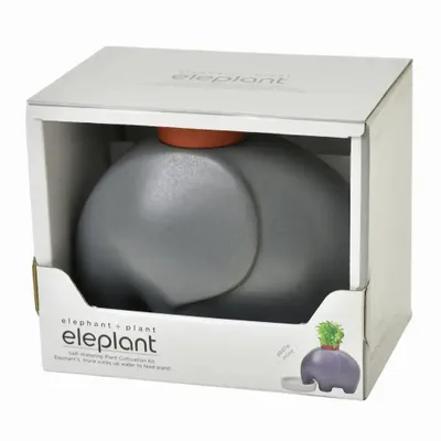 Cadeaux - Eleplant - NOTED