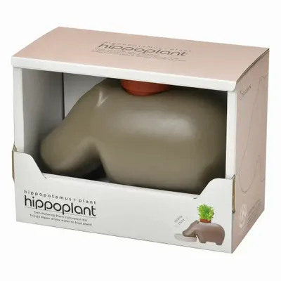 Gifts - Hippoplant - NOTED