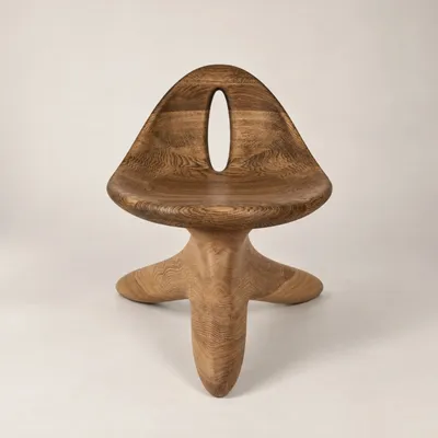 Chaises - Morphe | Fauteuil Sculpté Exclusif | Chêne Européen Massif - NEXART