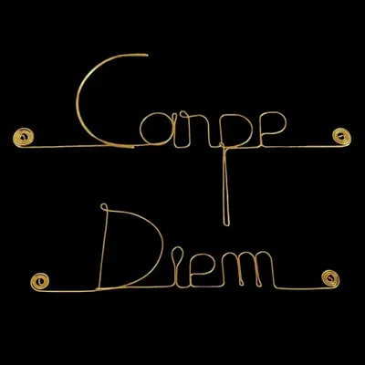 Autres décorations murales - Décoration Murale en Fil de Laiton Doré "Carpe Diem" - à punaiser - BIJOUX DE MUR