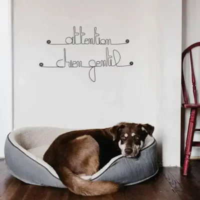 Other wall decoration - Attention, friendly dog door decoration - BIJOUX DE MUR