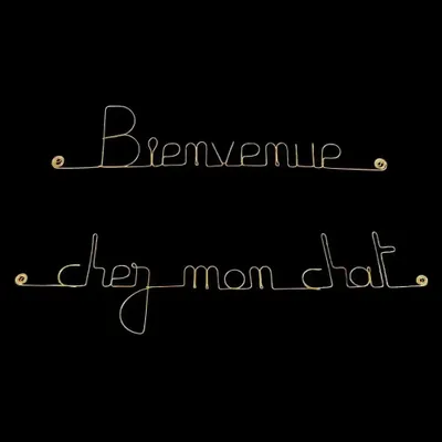 Autres décorations murales - Décoration Murale en laiton doré " Bienvenue chez mon chat " - BIJOUX DE MUR