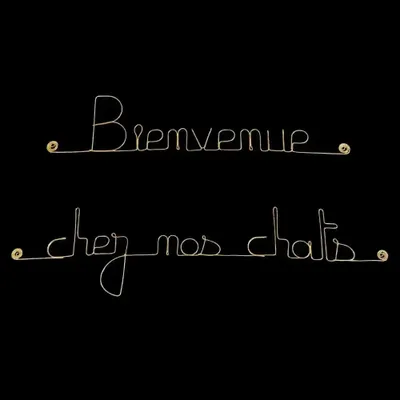 Autres décorations murales - Décoration Murale en laiton doré " Bienvenue chez nos chats" - BIJOUX DE MUR