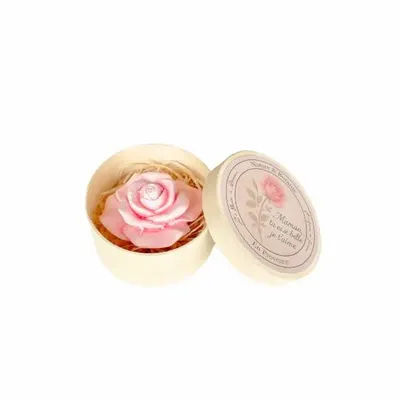 Scent diffusers - “MAMAN” ROSE POUDRÉE SCENT BOX – 24 PCS - NATURE & BOTANIC