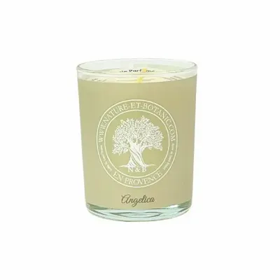 Bougies - BOUGIE PARFUMÉE PAR 6 (CANNELLE-ORANGE) - NATURE & BOTANIC