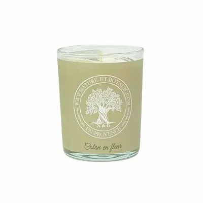 Bougies - BOUGIE PARFUMÉE PAR 6 (COTON EN FLEUR) - NATURE & BOTANIC