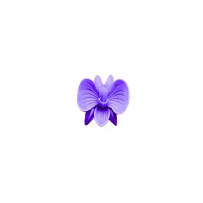 Scent diffusers - TERRE ORCHIDS – LARGE DISPLAY, 60 PCS - NATURE & BOTANIC