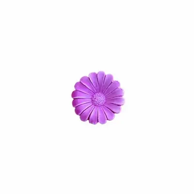 Scent diffusers - TERRE DAISIES – LARGE DISPLAY, 60 PCS - NATURE & BOTANIC