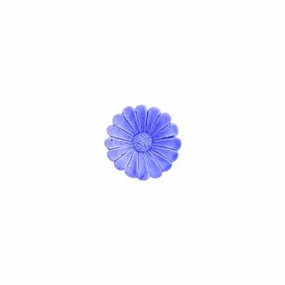 Scent diffusers - TERRE DAISIES – LARGE DISPLAY, 60 PCS - NATURE & BOTANIC