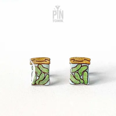 Pickle Jar Stud Earrings - PINTONIK