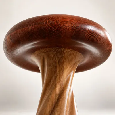Tabourets - Hera | Duo Bicolore | Tabouret Sculpté Exclusif | Chêne Européen Massi - NEXART