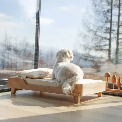 Lits - Wooden Pet Bed - WOODEN STORY