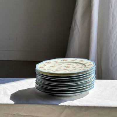 Assiettes de réception - Lot de 10 assiettes plates en porcelaine de Limoges France à bouquets - OFFICE OBJETS