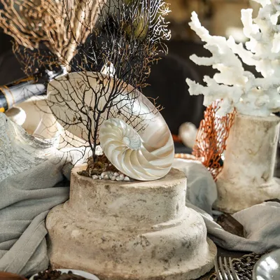 Decorative objects - Curious Specimens - ATELIERS DAVOY