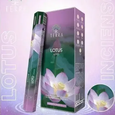 Home fragrances - Terra Charcoal Free Incense Hexa - Lotus 30g - ARABESK