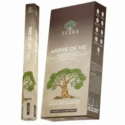 Parfums d'intérieur - Encens Terra Sans Charbon Hexa - Arbre de Vie 30g - ARABESK