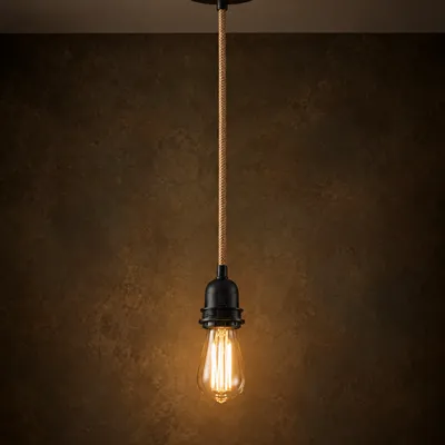 Ceiling lights - Fitting Lamps Ceiling - Natural Black - 1 Fitting - BAZAR BIZAR LIVING
