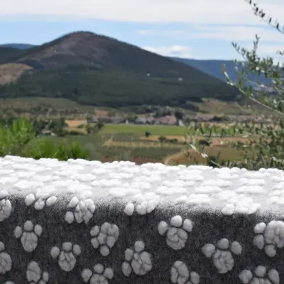 Fabrics - Zampa pet blanket - SOFIA TOSCANO