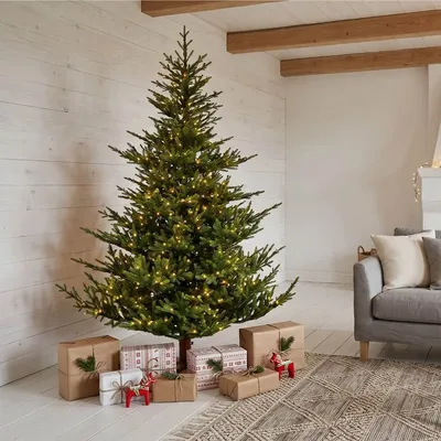 Aménagements pour bureau - SAMI MOUNTAIN SPRUCE - Sapin de Noël préformé d'aspect naturel - VAN DER GUCHT, SINCE 1870