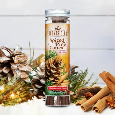 Home fragrances - SCENTSICLES Spiced Pine Cones - Scented Ornaments Sticks - VAN DER GUCHT, SINCE 1870