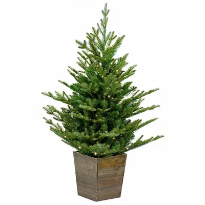 Aménagements pour bureau - NORDMANN - Sapin d'entrée naturel avec lumières et pot en bois - VAN DER GUCHT, SINCE 1870