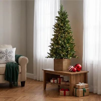 Aménagements pour bureau - NORFOLK — Magnifique arbre d'entrée avec lumières en pot - VAN DER GUCHT, SINCE 1870