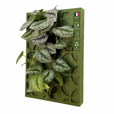 Objets de décoration - Tableau végétal design - plantes vivantes - Retro 60x40 - ARTENA VEGETAL