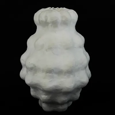 Céramique - Vase-sculpture Nuage - GALERIE SANA MOREAU