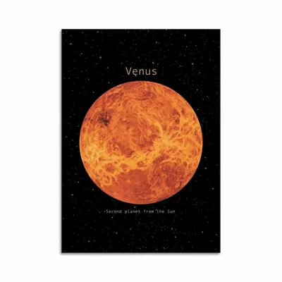 Carterie - Carte 10,5 x 14,8 cm - Venus - Terry Fan - WALL EDITIONS