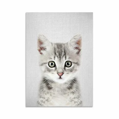 Card shop - Art-Card - Art-Card - Kitten - Gal Design - WALL EDITIONS