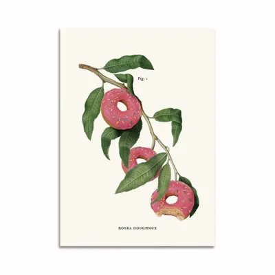 Carterie - Carte 10,5 x 14,8 cm - Donut Plant - Jonas Loose - WALL EDITIONS