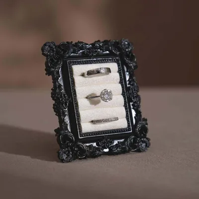 Jewelry - Baroque Black Resin Frame Ring Holder - WHISPERING WOODS