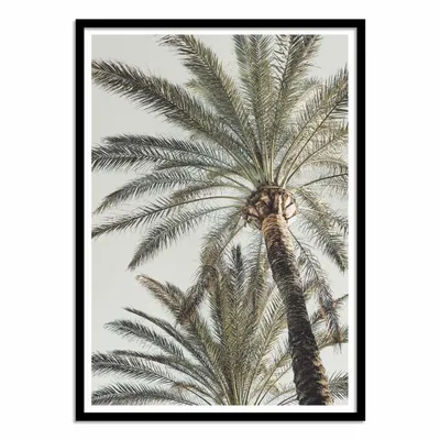 Poster - Art-Poster - Palm_005 - Pictufy Studio III - WALL EDITIONS